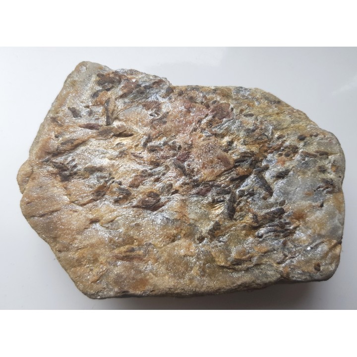 Staurolit w łupku mikowym z Głuchołaz