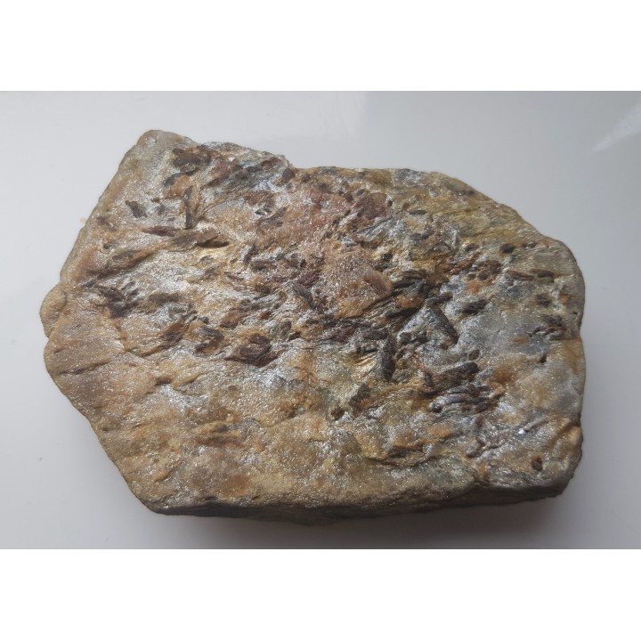 Staurolit w łupku mikowym z Głuchołaz