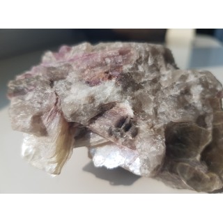 Rubellity z Piławy Grn.