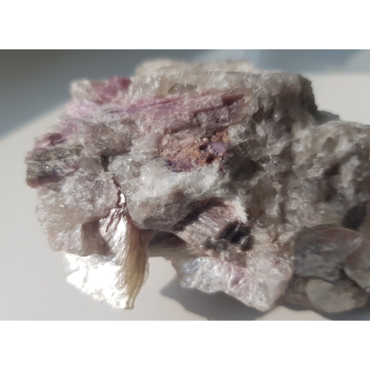 Rubellity z Piławy Grn.