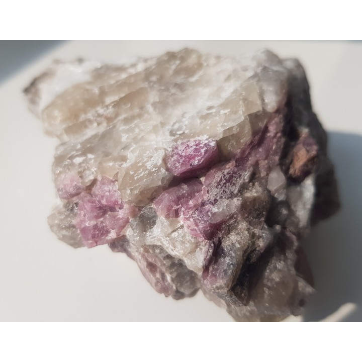 Rubellity z Piławy Grn.