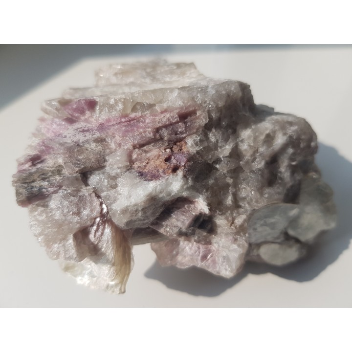 Rubellity z Piławy Grn.