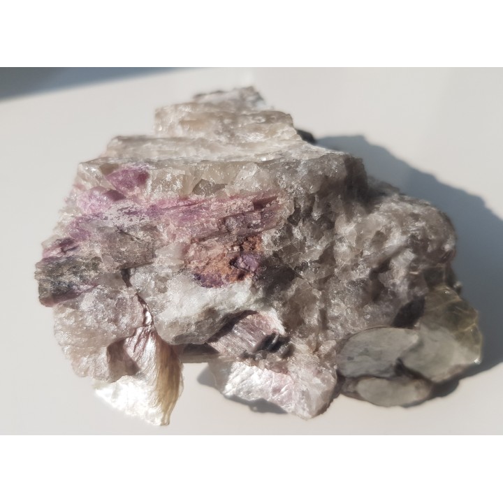 Rubellity z Piławy Grn.