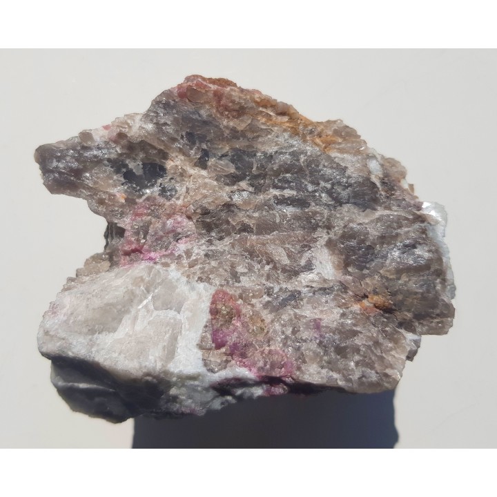 Elbait z Piławy Grn.