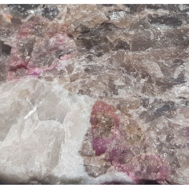 Elbait z Piławy Grn.