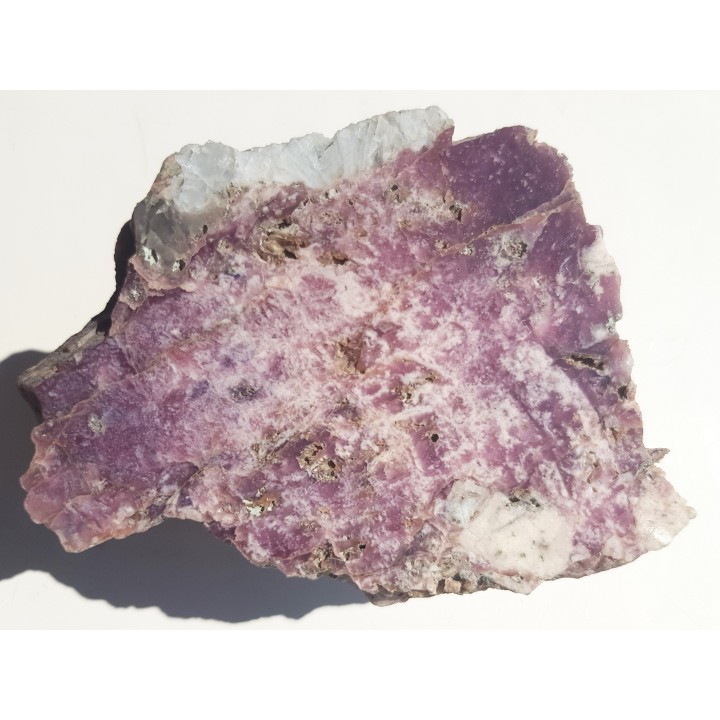 Lepidolit, cookeit oraz pollucyt z Piławy Górnej