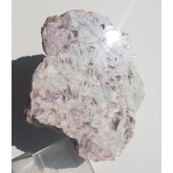 Piękny, błękitny albit oraz łyszczyk litowy z Piławy Grn.