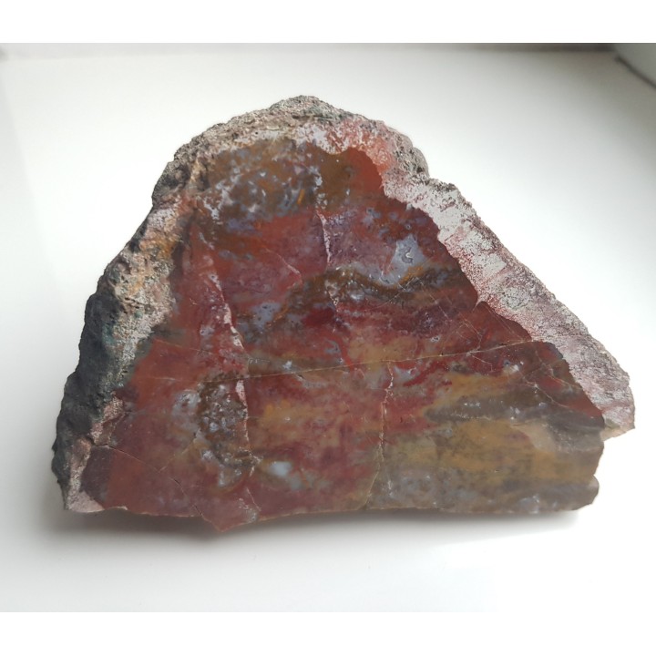 Jaspis z Suszyny k. Kłodzka