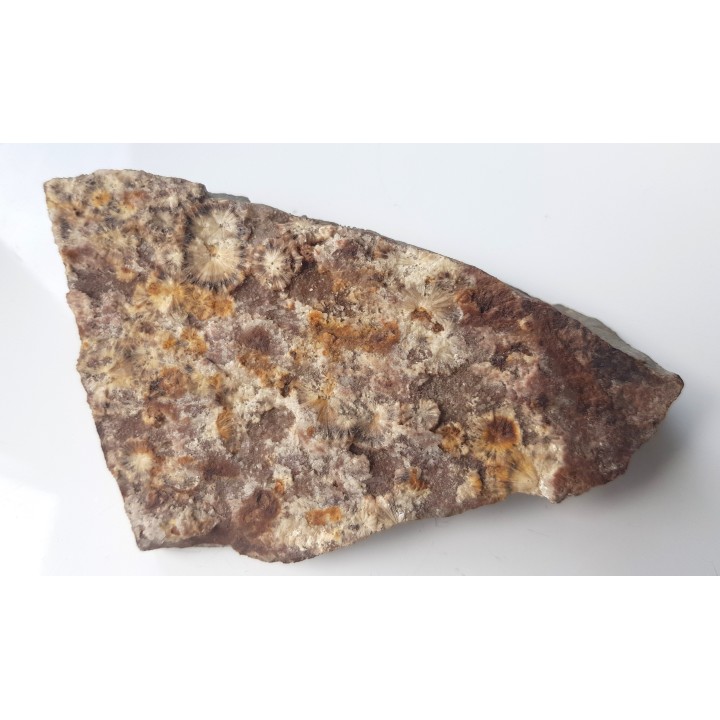 Wavellit z Wiśniówki k. Kielc