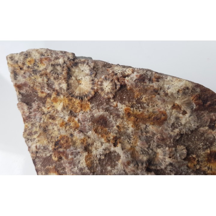 Wavellit z Wiśniówki k. Kielc