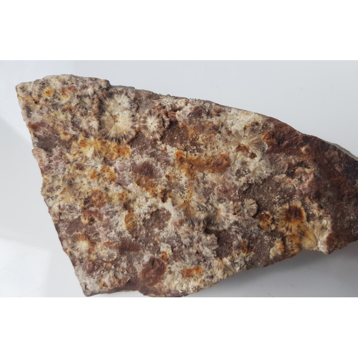 Wavellit z Wiśniówki k. Kielc