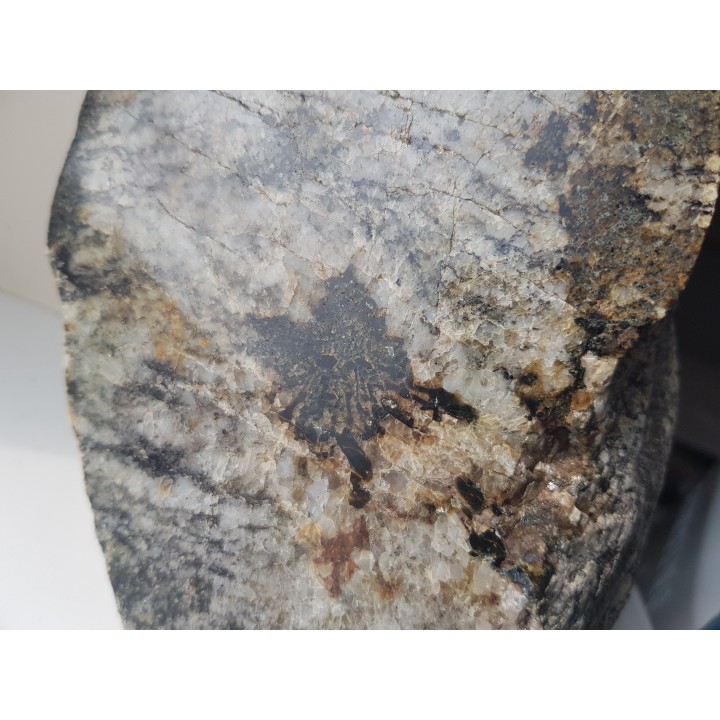 Przerosty pismowe kwarcu i kordierytu z Gór Sowich