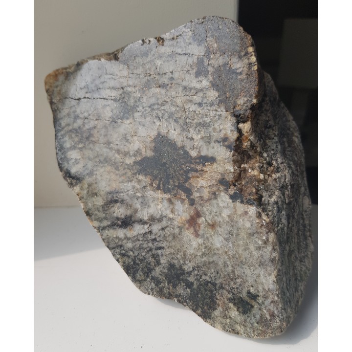 Przerosty pismowe kwarcu i kordierytu z Gór Sowich