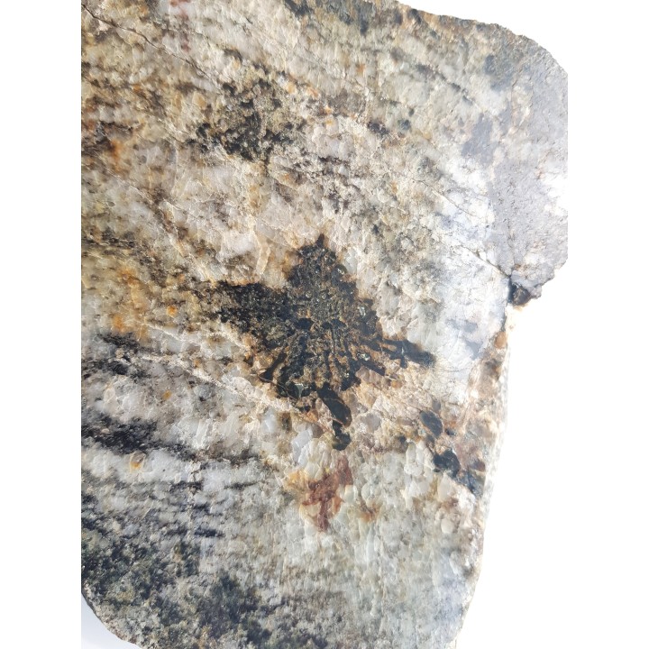 Przerosty pismowe kwarcu i kordierytu z Gór Sowich