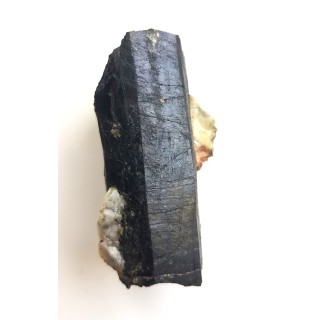 Szerl z Piławy Grn.