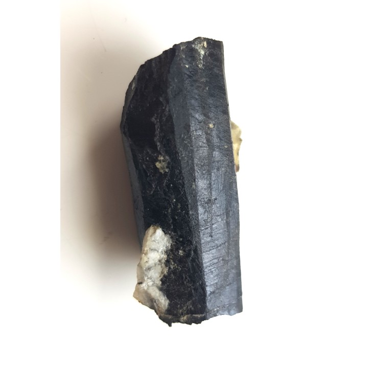 Szerl z Piławy Grn.