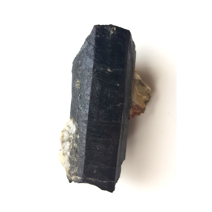 Szerl z Piławy Grn.