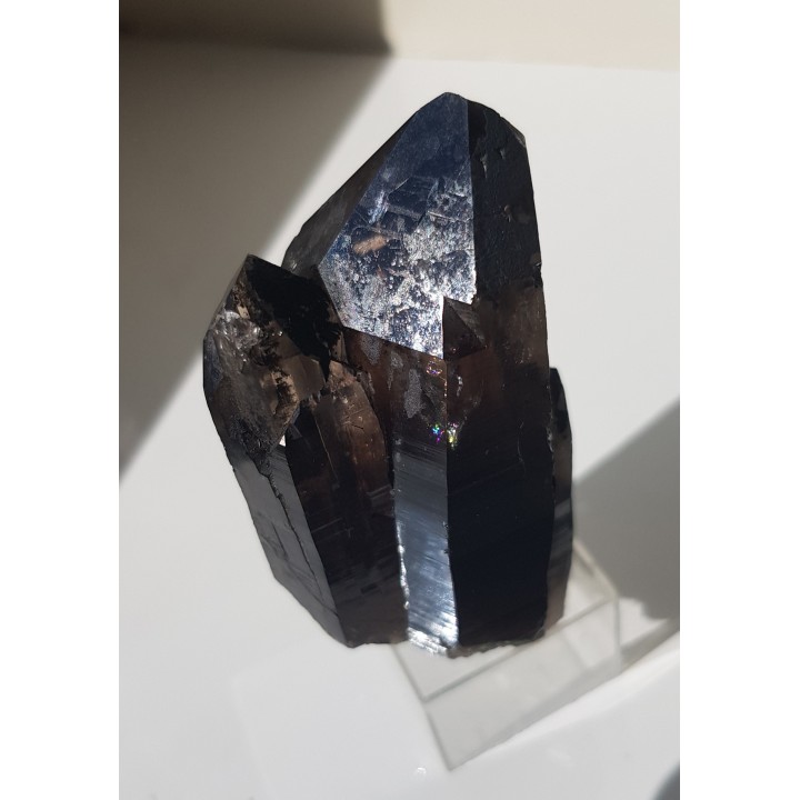 Zrost kwarców dymnych ze Strzegomia