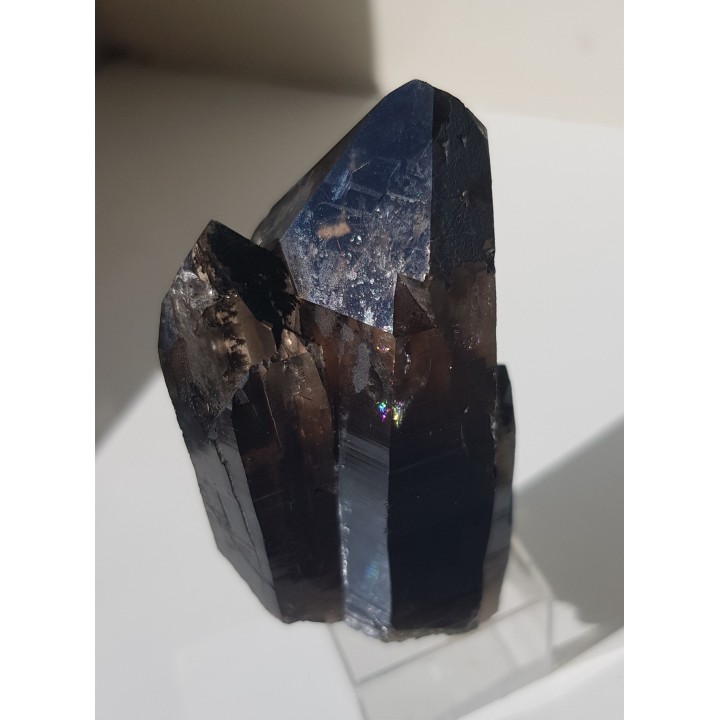 Zrost kwarców dymnych ze Strzegomia