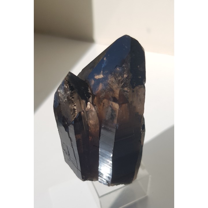 Zrost kwarców dymnych ze Strzegomia