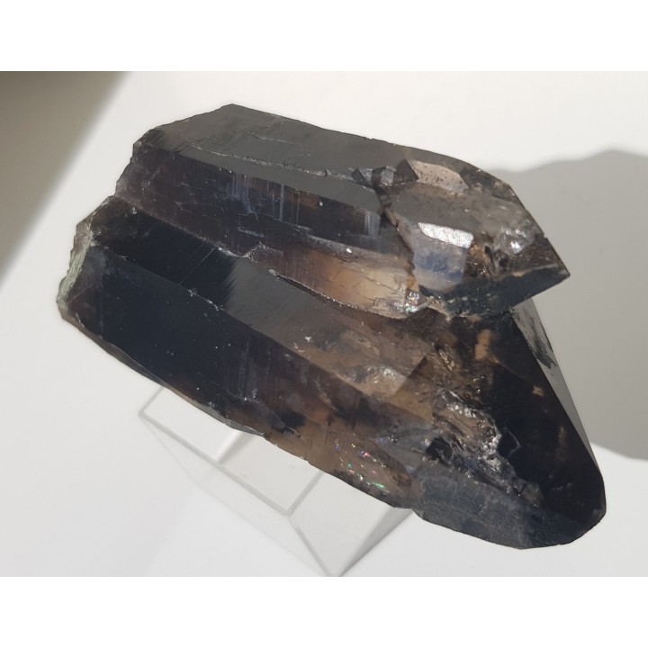 Zrost kwarców dymnych ze Strzegomia