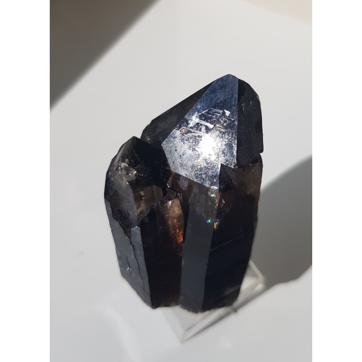 Zrost kwarców dymnych ze Strzegomia