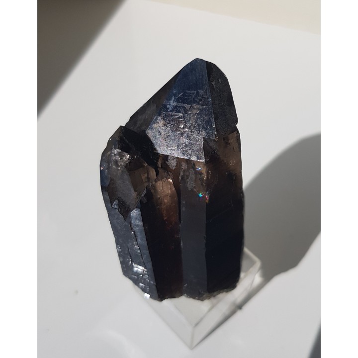 Zrost kwarców dymnych ze Strzegomia