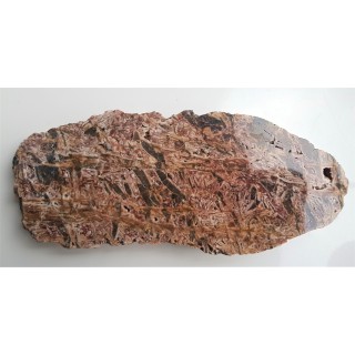 Wyjątkowa brekcja z otoczkami kwarcowymi