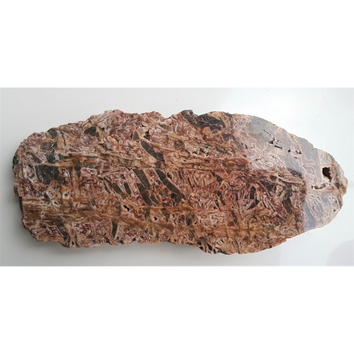 Wyjątkowa brekcja z otoczkami kwarcowymi