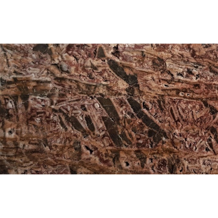 Wyjątkowa brekcja z otoczkami kwarcowymi