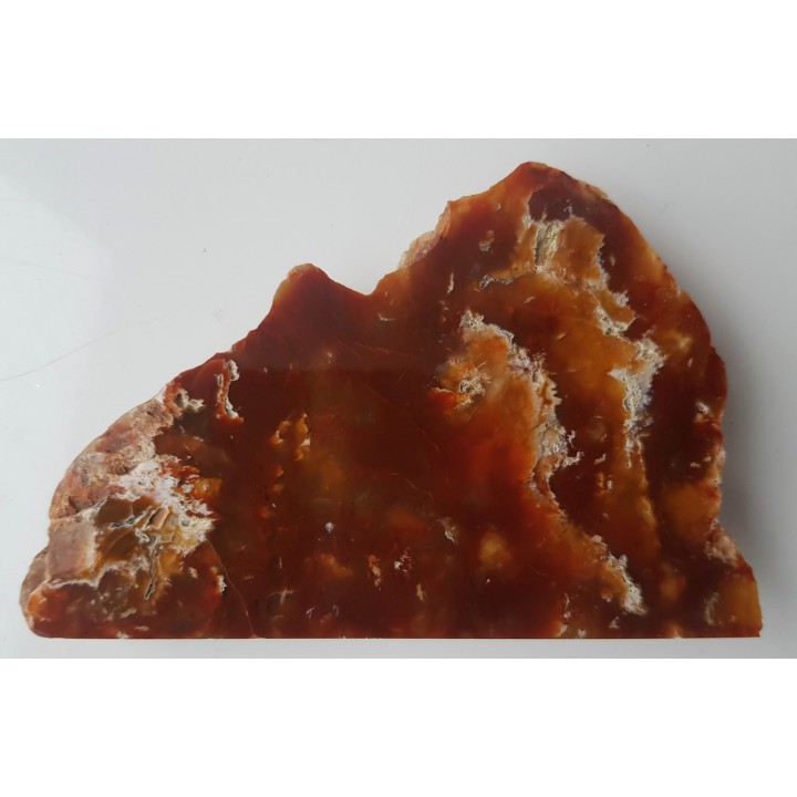 Karneol-sard z aluwiów Nysy Kłodzkiej k. Paczkowa