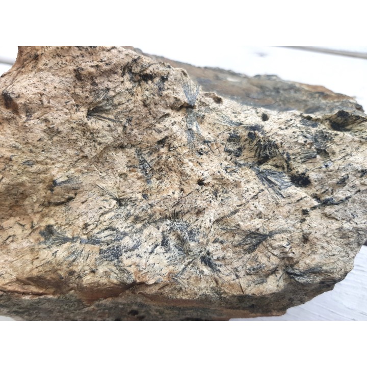 Gedryt (słońca gedrytowe) z Skisshyttan, Dalarna (Szwecja)