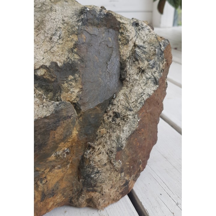 Gedryt (słońca gedrytowe) z Skisshyttan, Dalarna (Szwecja)