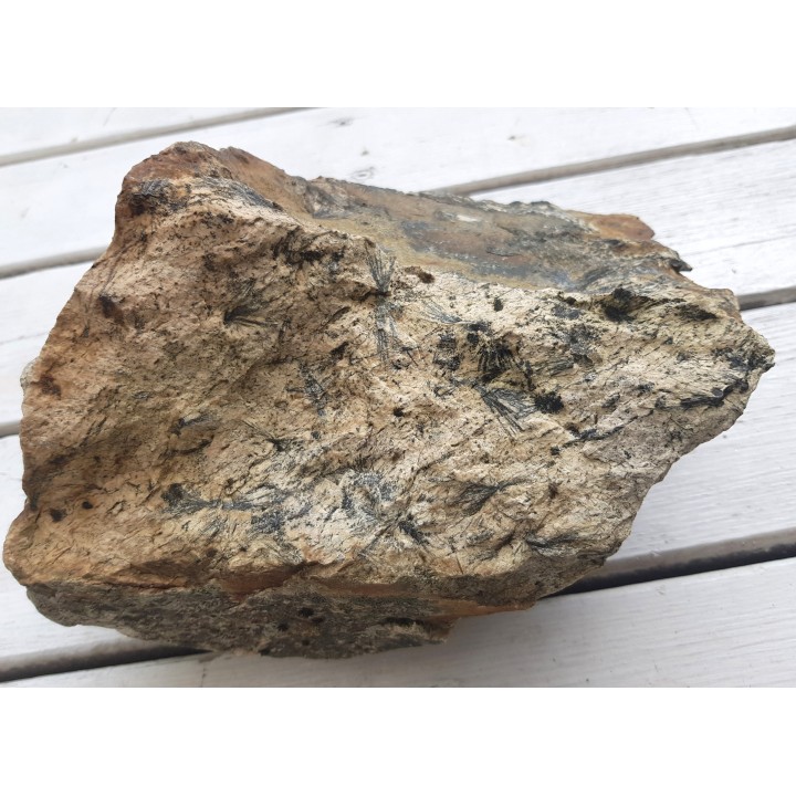 Gedryt (słońca gedrytowe) z Skisshyttan, Dalarna (Szwecja)