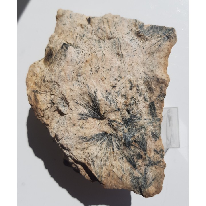 Piękne tzw. słońca gedrytowe ze Skisshyttan, Dalarna, Szwecja