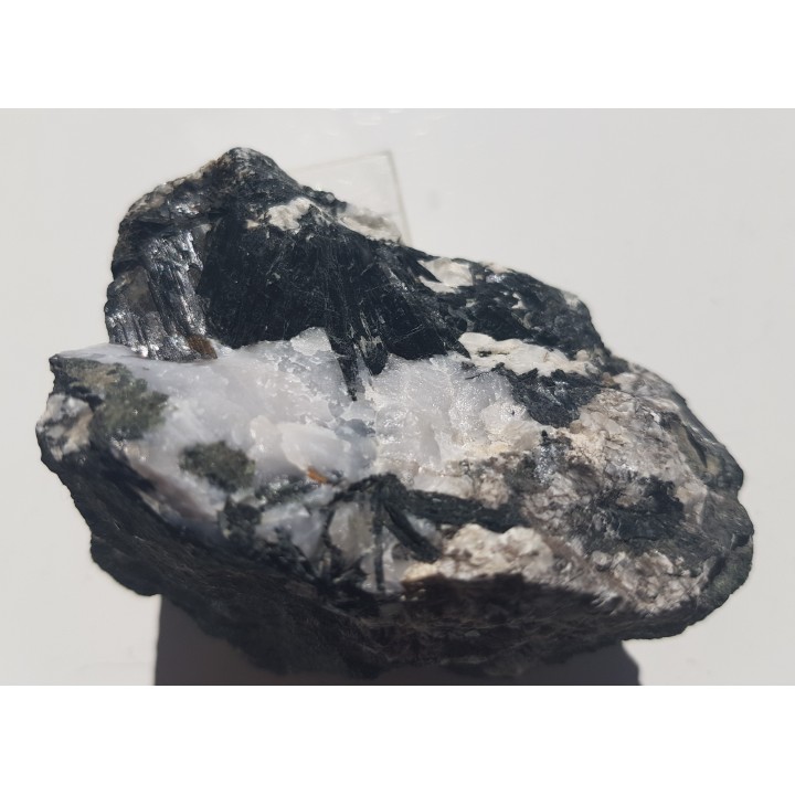 Kryształy hornblendy z Kletna