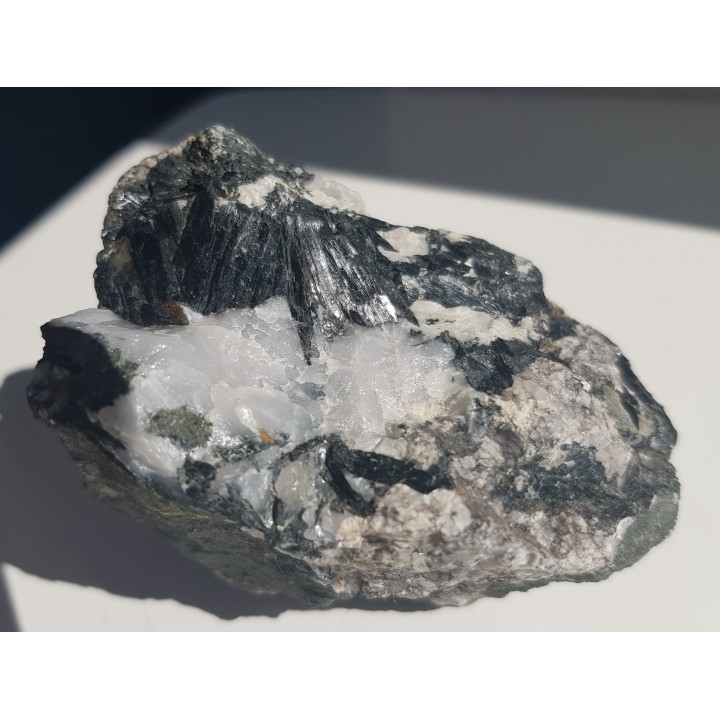 Kryształy hornblendy z Kletna