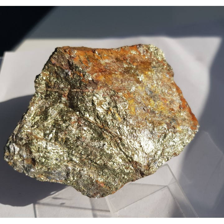 Chalkopiryt z arsenopirytem z Radzimowic