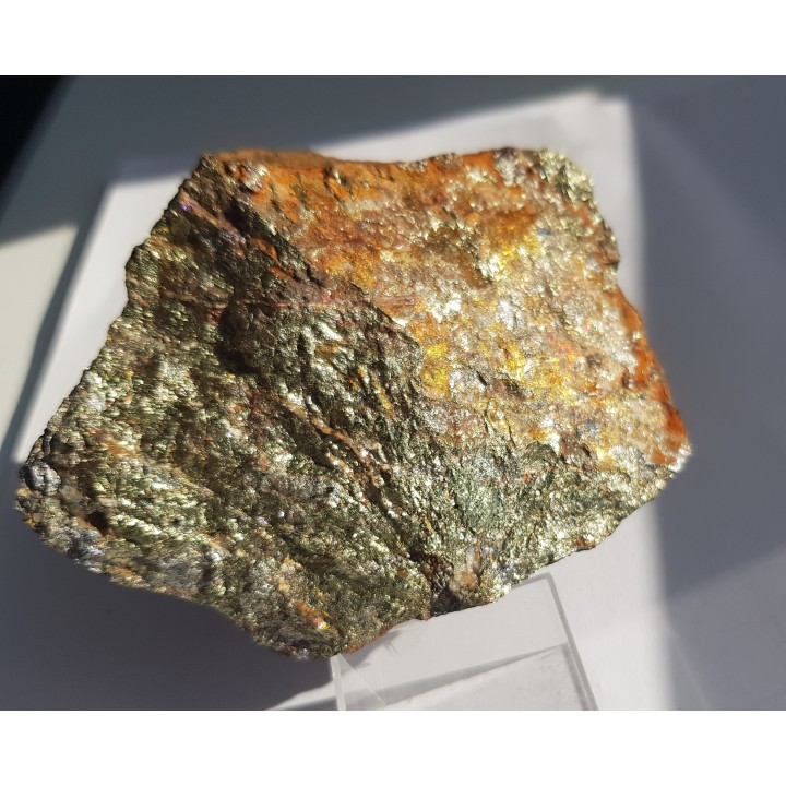 Chalkopiryt z arsenopirytem z Radzimowic