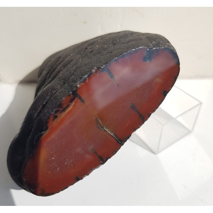 Piękna konkrecja chalcedonowa z aluwiów Nysy Kłodzkiej, zb. Pilce