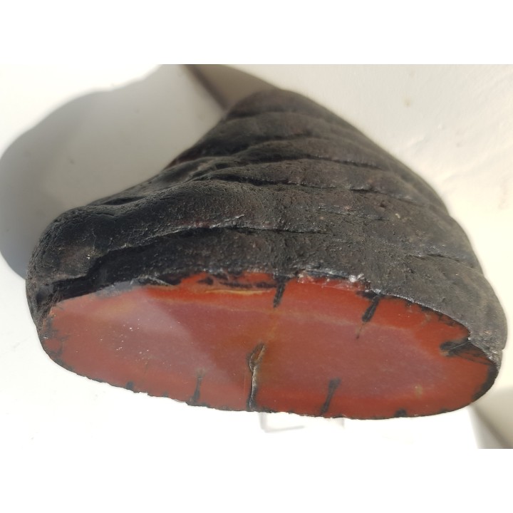 Piękna konkrecja chalcedonowa z aluwiów Nysy Kłodzkiej, zb. Pilce