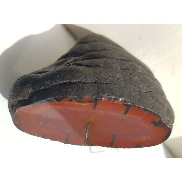 Piękna konkrecja chalcedonowa z aluwiów Nysy Kłodzkiej, zb. Pilce