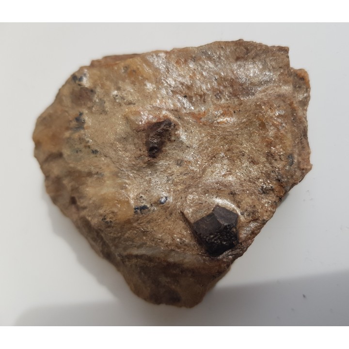 Duże kryształy - granat i staurolit oraz ilmenit w łupku mikowym z Głuchołaz