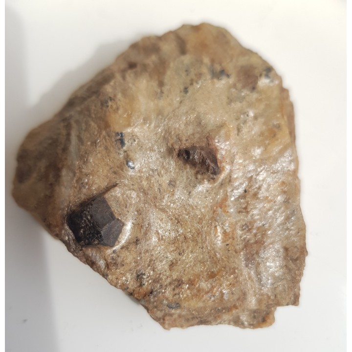 Duże kryształy - granat i staurolit oraz ilmenit w łupku mikowym z Głuchołaz