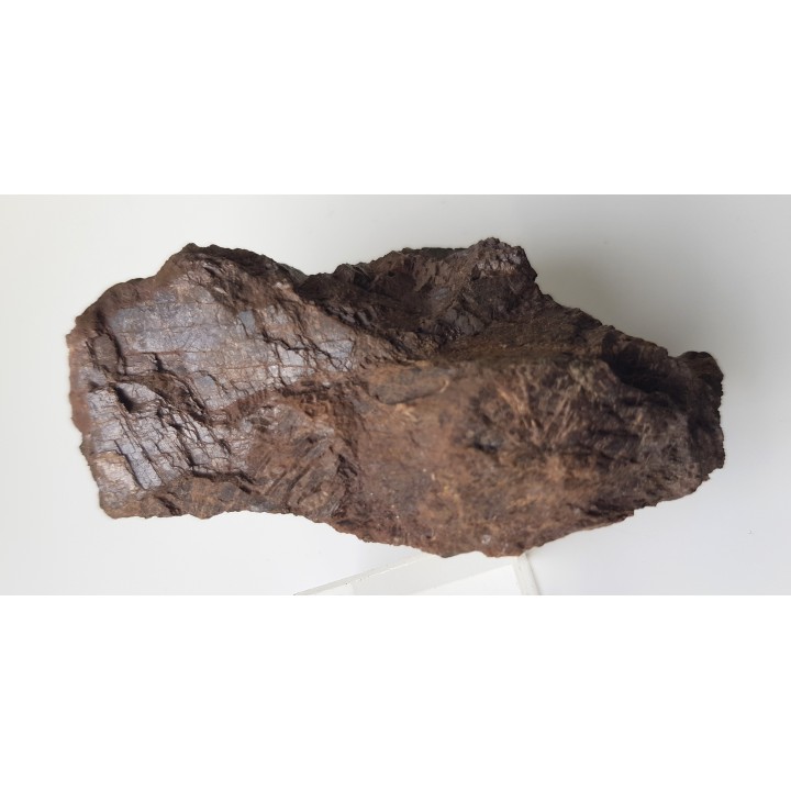 Krystaliczny syderyt ze złoża barytu "Jedlinka" k. Jedliny-Zdroju